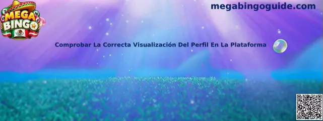 Referencia visual para comprobar la correcta visualización del perfil en la plataforma Mega Bingo