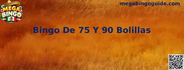 Comparación ilustrativa de los cartones de bingo de 75 y 90 bolillas en Mega Bingo
